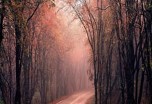 运动天才，展现出众的竞技实力