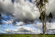 足球宿将宣布退役，球迷共同庆祝传奇事迹