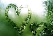 火箭队小前锋辉煌表现，为球队加分不少！