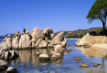 柏林联队连遭失利，科隆众将雄心再起